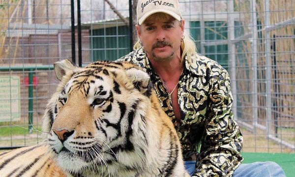 Temporada 2 da série ‘A Máfia dos Tigres’ estreia na Netflix nesta quarta, 17 Foto de A Máfia dos Tigres, em Netflix