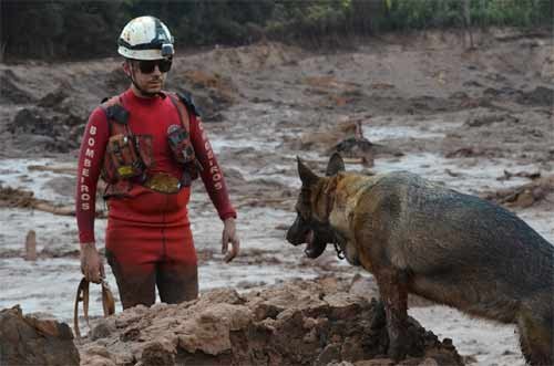 Foto da Operação do Corpo de Bombeiros em Brumadinho/MG)